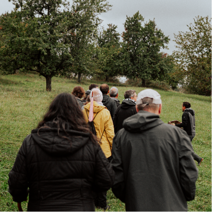 Gin Wanderung Streuobstwiesen Tasting