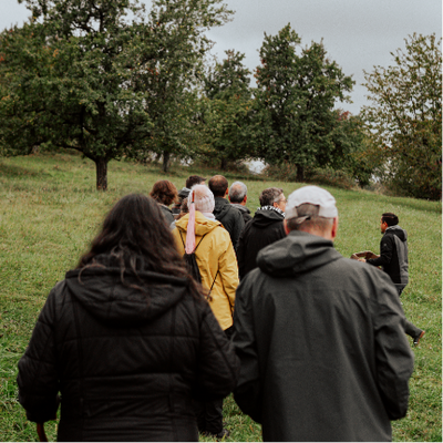 Gin Wanderung: Streuobstwiesen Tasting 20.06.2026