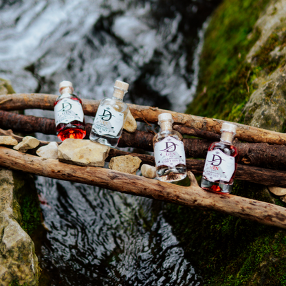 D' GIN Discovery Box