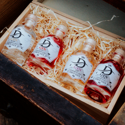 D' GIN Discovery Box